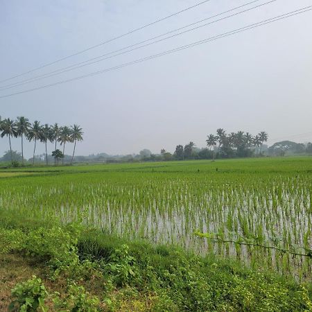 Tanjore Home Stay Танджавур Экстерьер фото