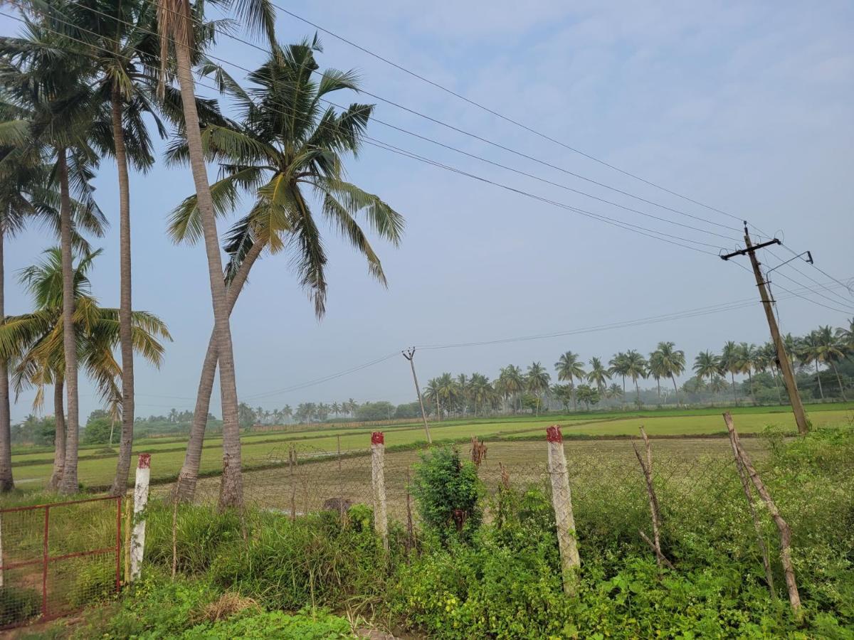 Tanjore Home Stay Танджавур Экстерьер фото
