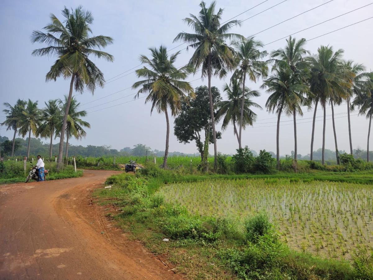 Tanjore Home Stay Танджавур Экстерьер фото